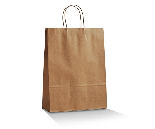 Brown Kraft Paper Bag Twisted Handle - Medium