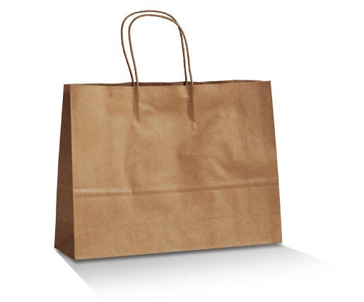 Brown Kraft Paper Bag with Twisted Handle - Medium Boutique