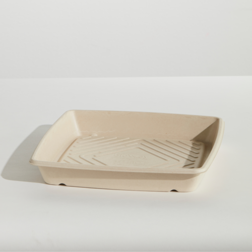 Sugarcane Catering Platter & Lid - Medium