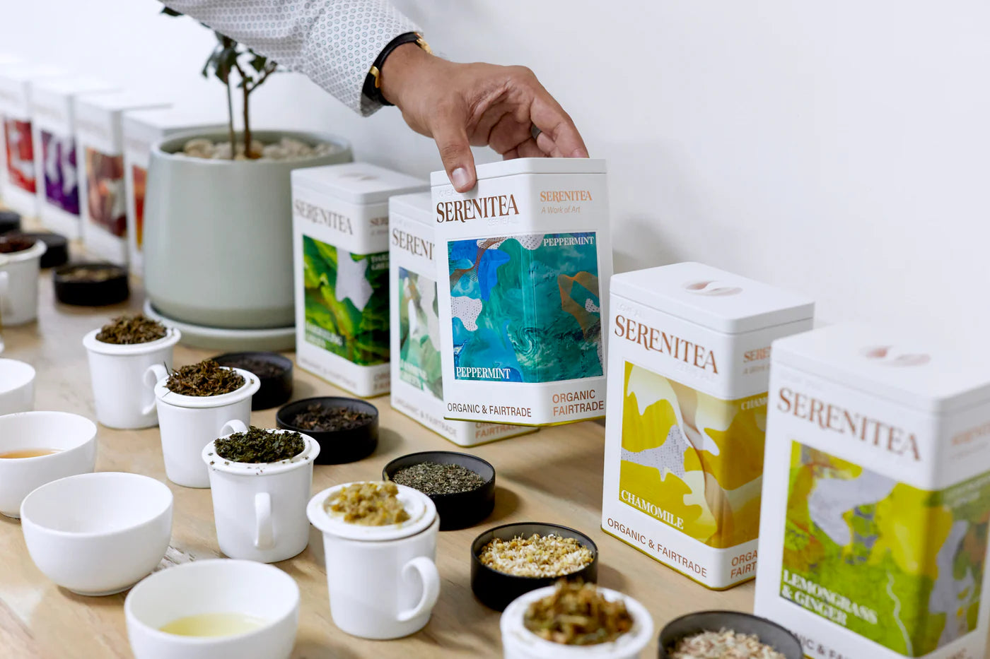 SereniTea & Zoetic Tea's