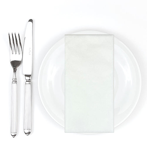 Bionap Napkin Extra Soft 40x40 GT White Compostable Carton: 800
