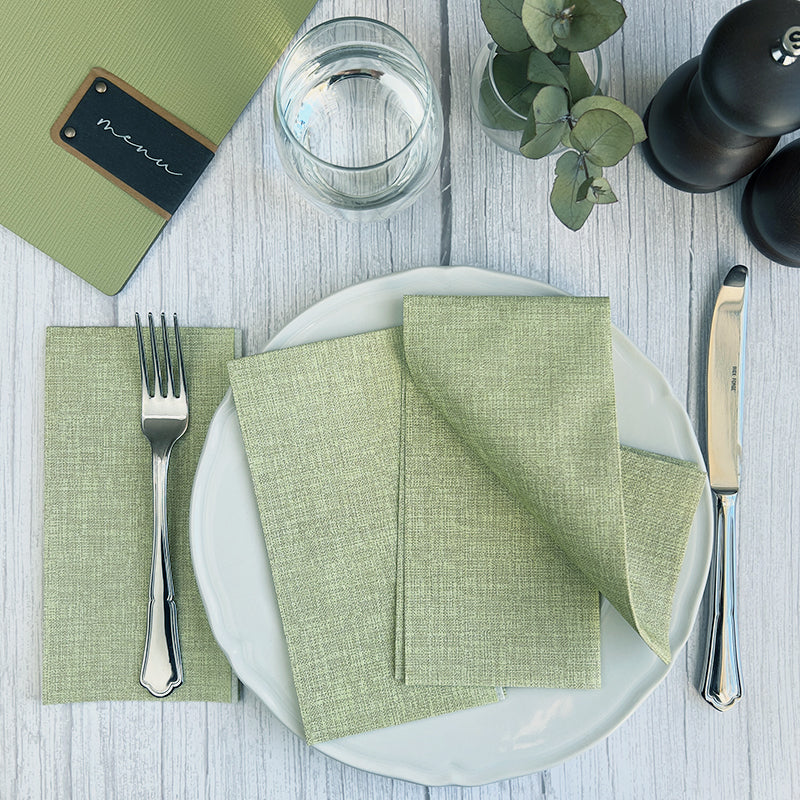 Bionap Napkin Airlaid 40x40 GT Fabric Green Compostable Carton: 800