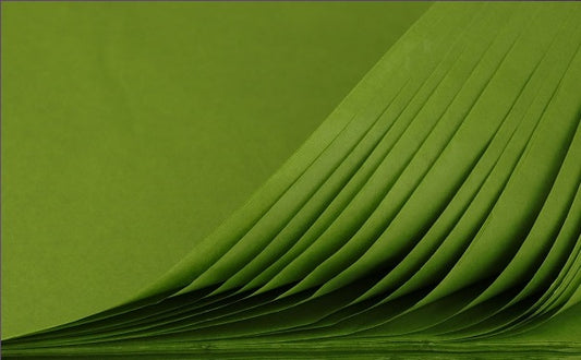 Premium Tissue Paper - Olive