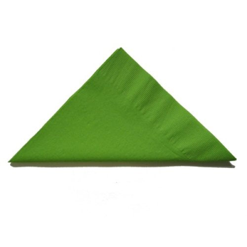 Lime Dinner Napkin 2ply BULK - Carton: 1,000