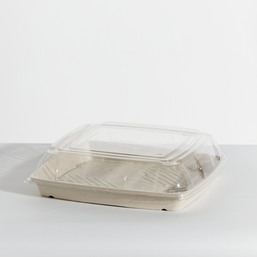 Bioway Sugarcane Platter Clear PET Lid - Large