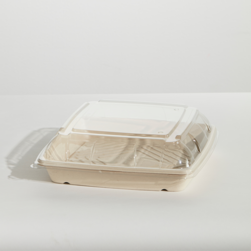 Bioway Sugarcane Platter Clear PET Lid - Medium