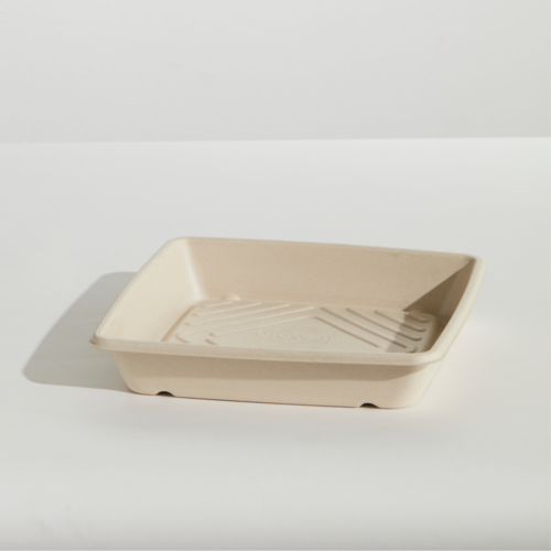 Bioway Sugarcane Platter - Small