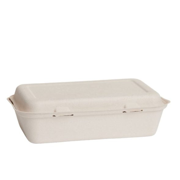 Bioway Sugarcane Large Snackbox - Natural